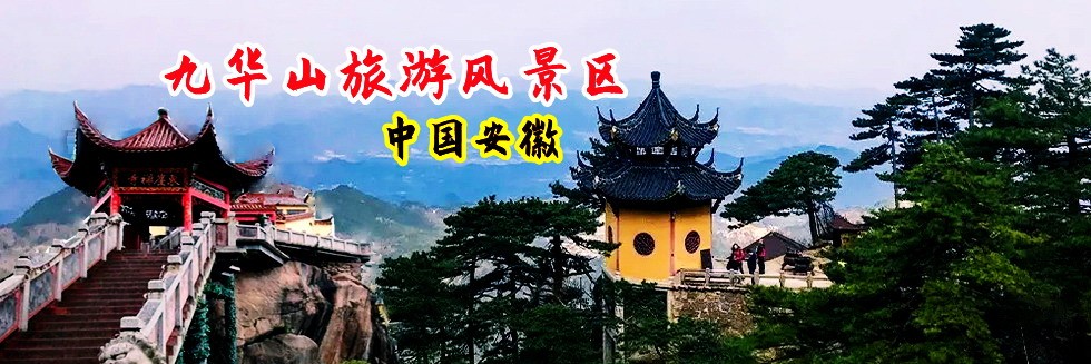 日本熟妇bb